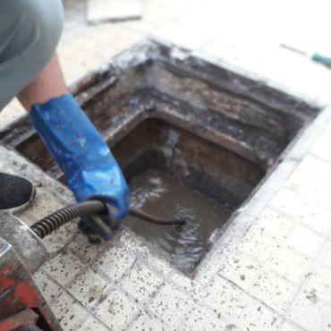 Destapacion de tapa cloacal